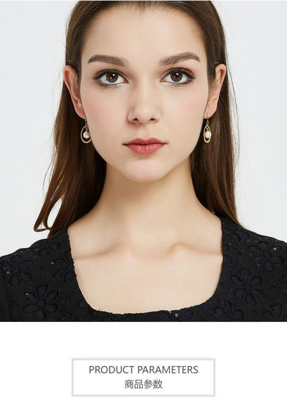 AOMIDIORレディーファッション高級感耳飾り 気質 精緻女性イヤリング EH0101