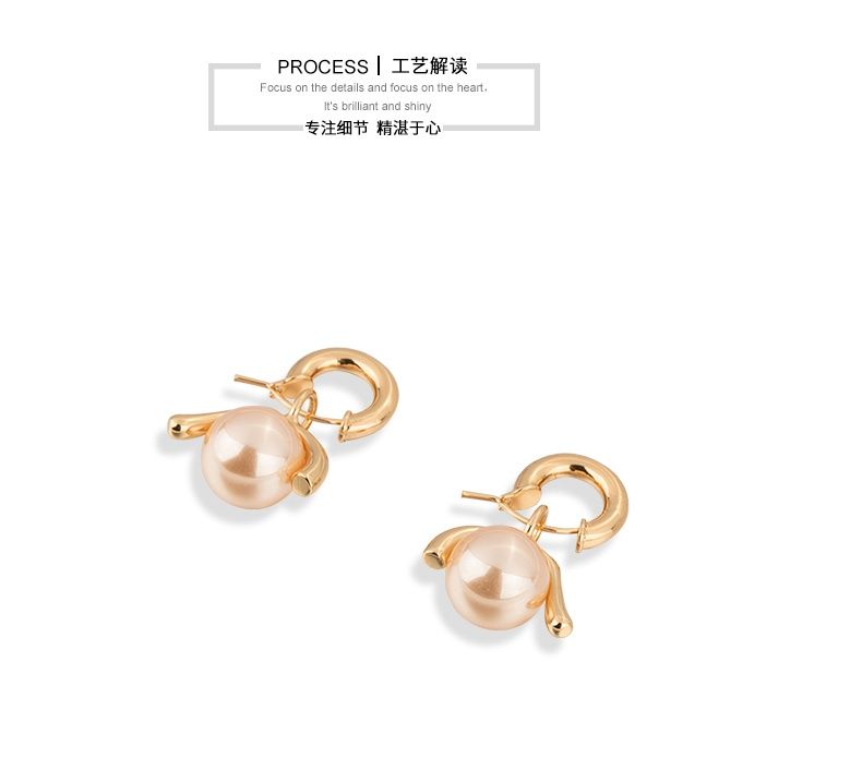 AOMIDIORレディーファッション高級感耳飾り 気質 精緻女性イヤリング EH0132