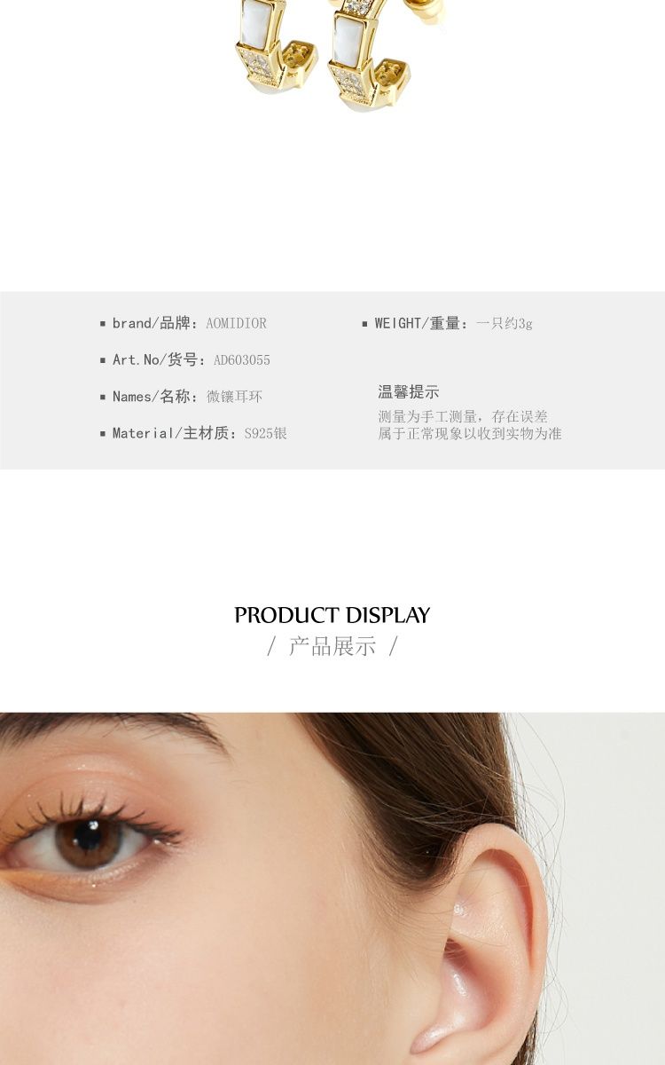 AOMIDIORレディーファッション高級感耳飾り 気質 精緻女性イヤリング EH0093
