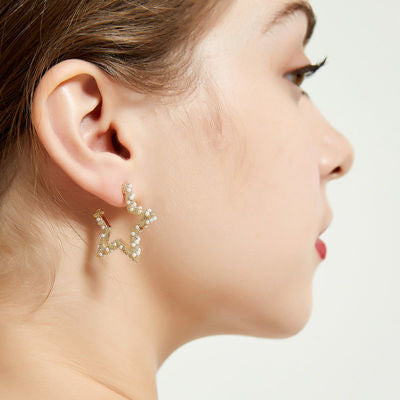 AOMIDIORレディーファッション高級感耳飾り 気質 精緻女性イヤリング EH0142
